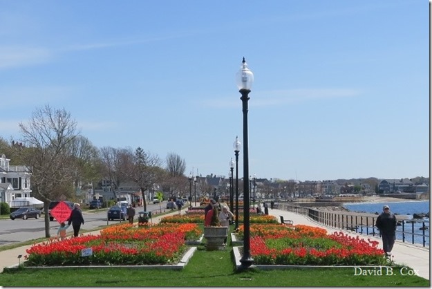 2019 05 15 Very Misc G 5X Cannon 045