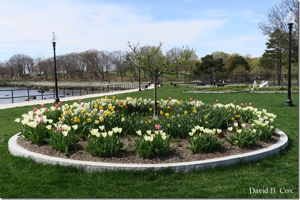 2019 05 15 Very Misc G 5X Cannon 053