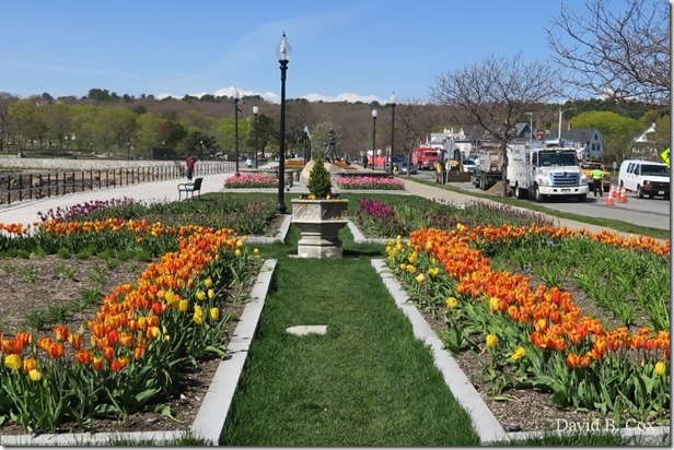 2019 05 15 Very Misc G 5X Cannon 060