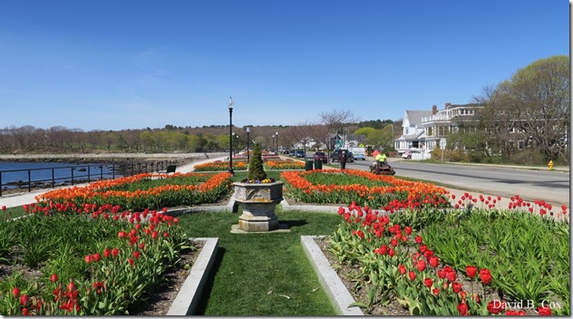 2019 05 15 Very Misc G 5X Cannon 075