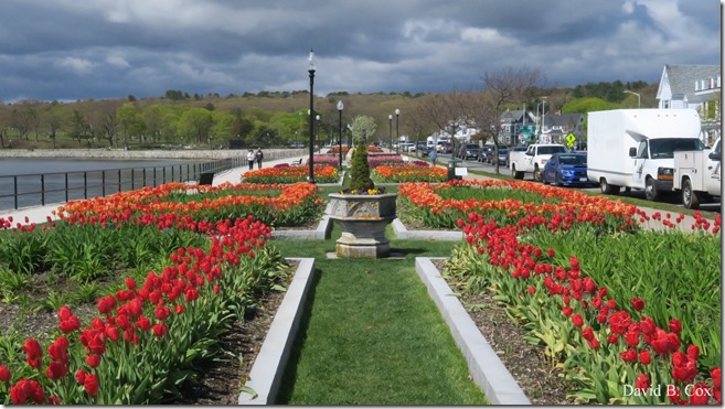 2019 05 15 Very Misc G 5X Cannon 111