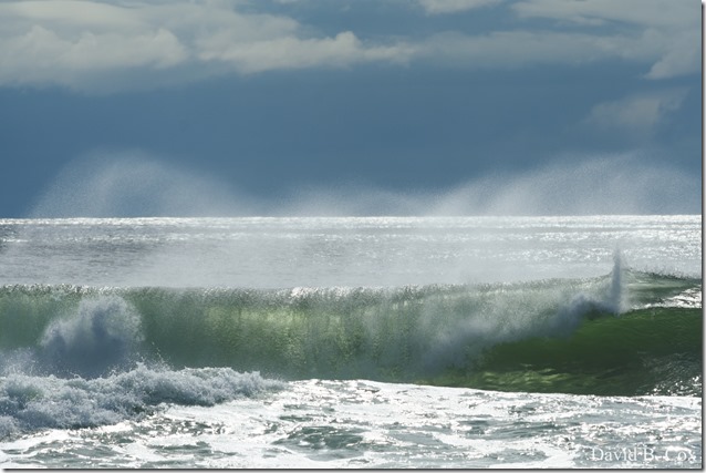 2019 05 17 Blvd City Hall Misc D750 008