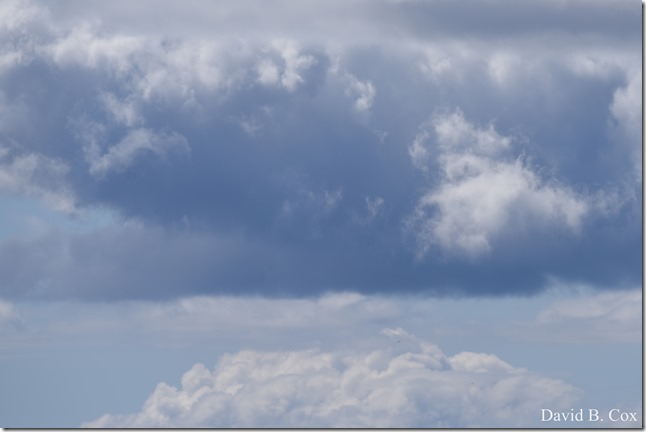 2019 05 17 Blvd City Hall Misc D750 021