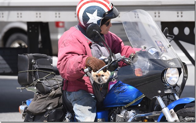 2019 05 17 Blvd City Hall Misc D750 029