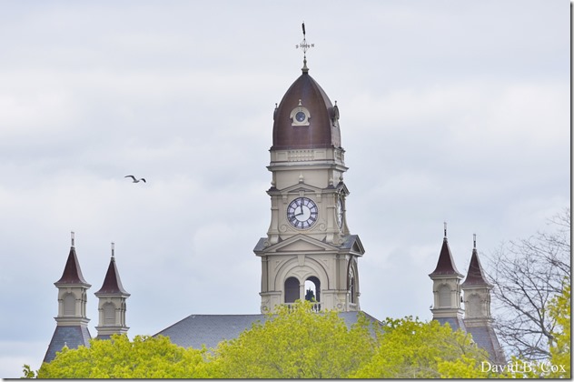 2019 05 17 Blvd City Hall Misc D750 041