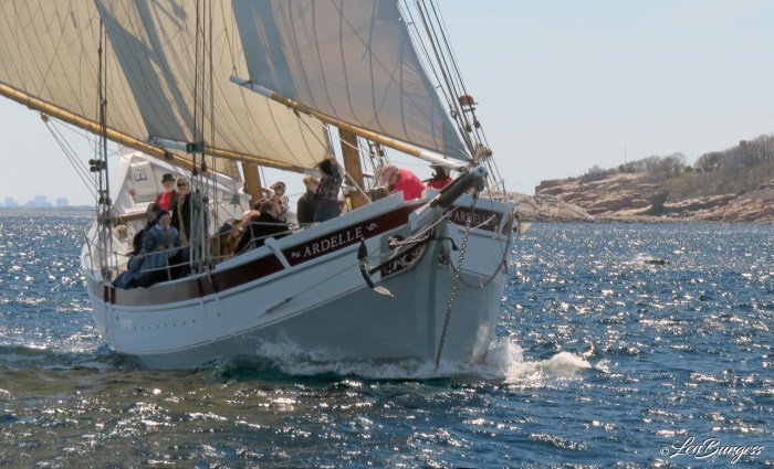 Ardelle 5-11-19 _9709_edited-2.jpg