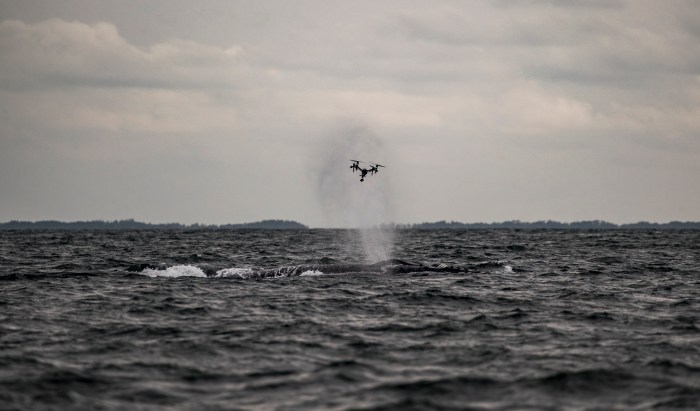 ChristianMiller_Snotbot_gabon-33