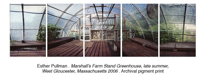 Esther Pullman . Marshall’s Farm Stand Greenhouse, late summer, West Gloucester, Massachusetts 2006 . Archival pigment prin.jpg