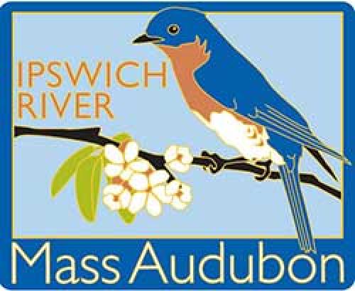 ipswich_river_wildlife_td_552