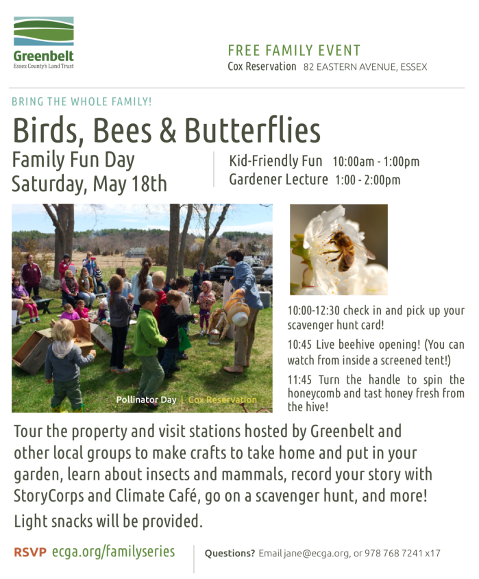 Screen Shot 2019-05-13 at 3.11.38 PM