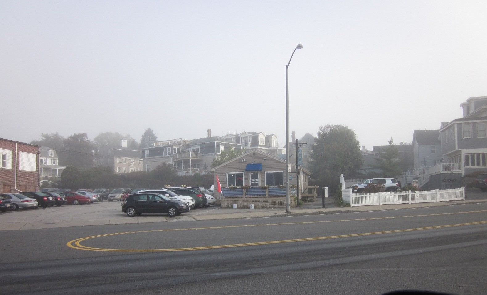 Sept 9 2013 Morning Glory ©c ryan