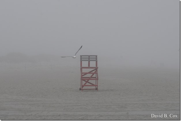 2019 06 08 GHS BB Playoff Deacut& Misc 002