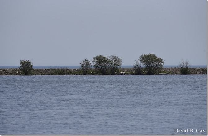 2019 06 08 GHS BB Playoff Deacut& Misc 041