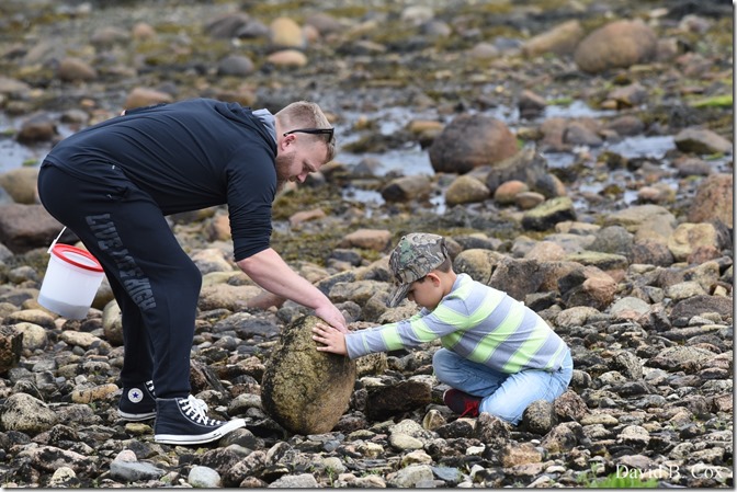 2019 06 08 GHS BB Playoff Deacut& Misc 104