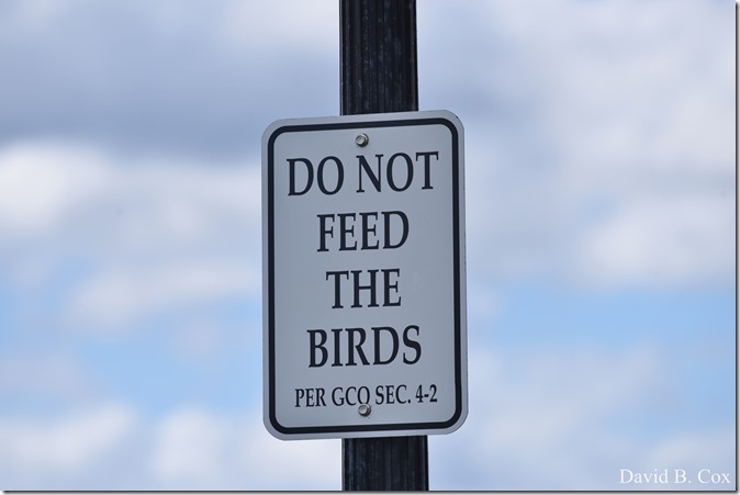 2019 5 24 GHS BB vs Winthrop & Blvd & Misc 001