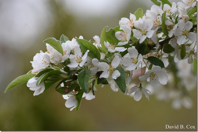 2019 5 24 GHS BB vs Winthrop & Blvd & Misc 097