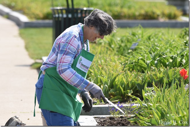 2019 6 01 Tom&Linda Wedding & Misc 006