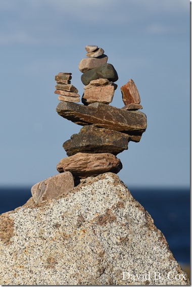 2019 6 22 Very Misc Egrets Beach Clouds etc 004