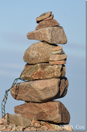 2019 6 22 Very Misc Egrets Beach Clouds etc 006