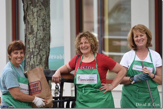 2019 6 22 Very Misc Egrets Beach Clouds etc 052