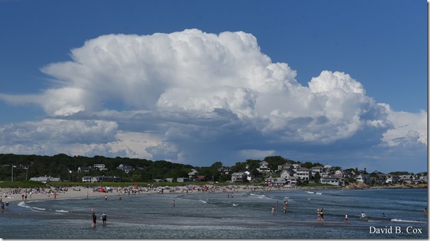 2019 6 22 Very Misc Egrets Beach Clouds etc 239