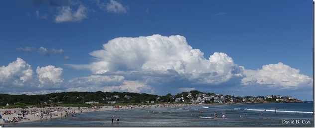 2019 6 22 Very Misc Egrets Beach Clouds etc 241