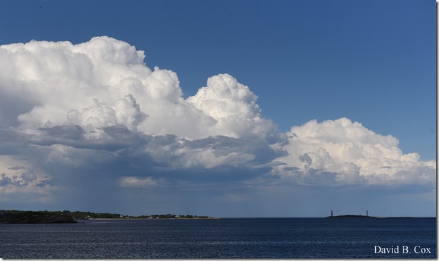 2019 6 22 Very Misc Egrets Beach Clouds etc 243