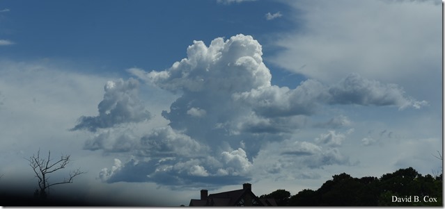 2019 6 22 Very Misc Egrets Beach Clouds etc 244