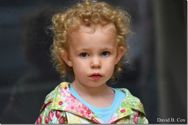 2019 6 25 Beach Young Child Misc 022