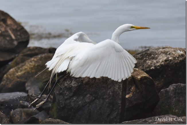 2019 6 25 Beach Young Child Misc 037