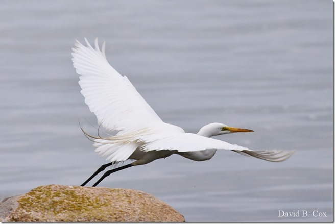 2019 6 25 Beach Young Child Misc 039