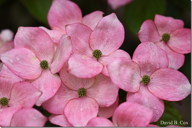 2019 6 25 Beach Young Child Misc 050