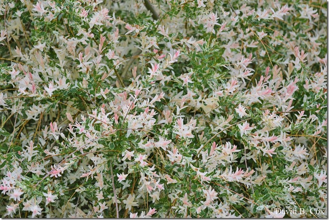 2019 6 25 Beach Young Child Misc 055