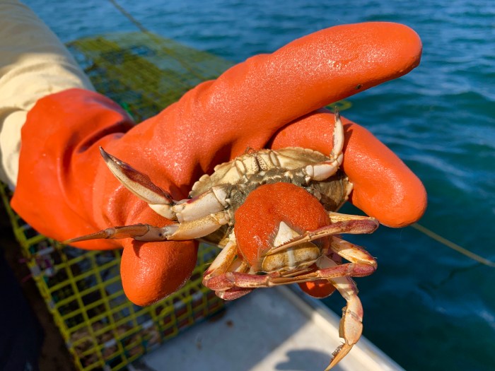 2415983D-E681-473C-BA72-BB037BA94C86