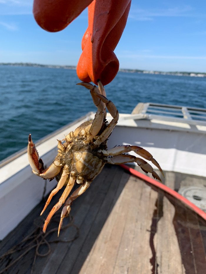 A448E3F0-59C3-4B10-AB09-8C2EAE762FB4