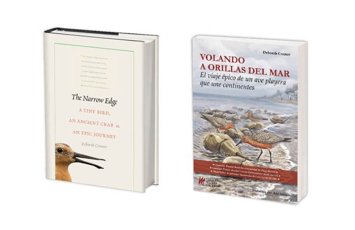 bookcovers_enandes.jpg