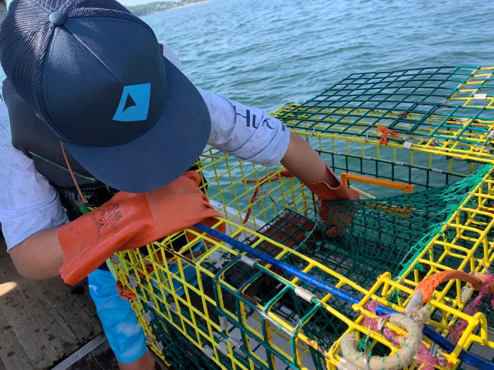 E58901DC-CE05-4043-9BDE-B559EF5E4F2C