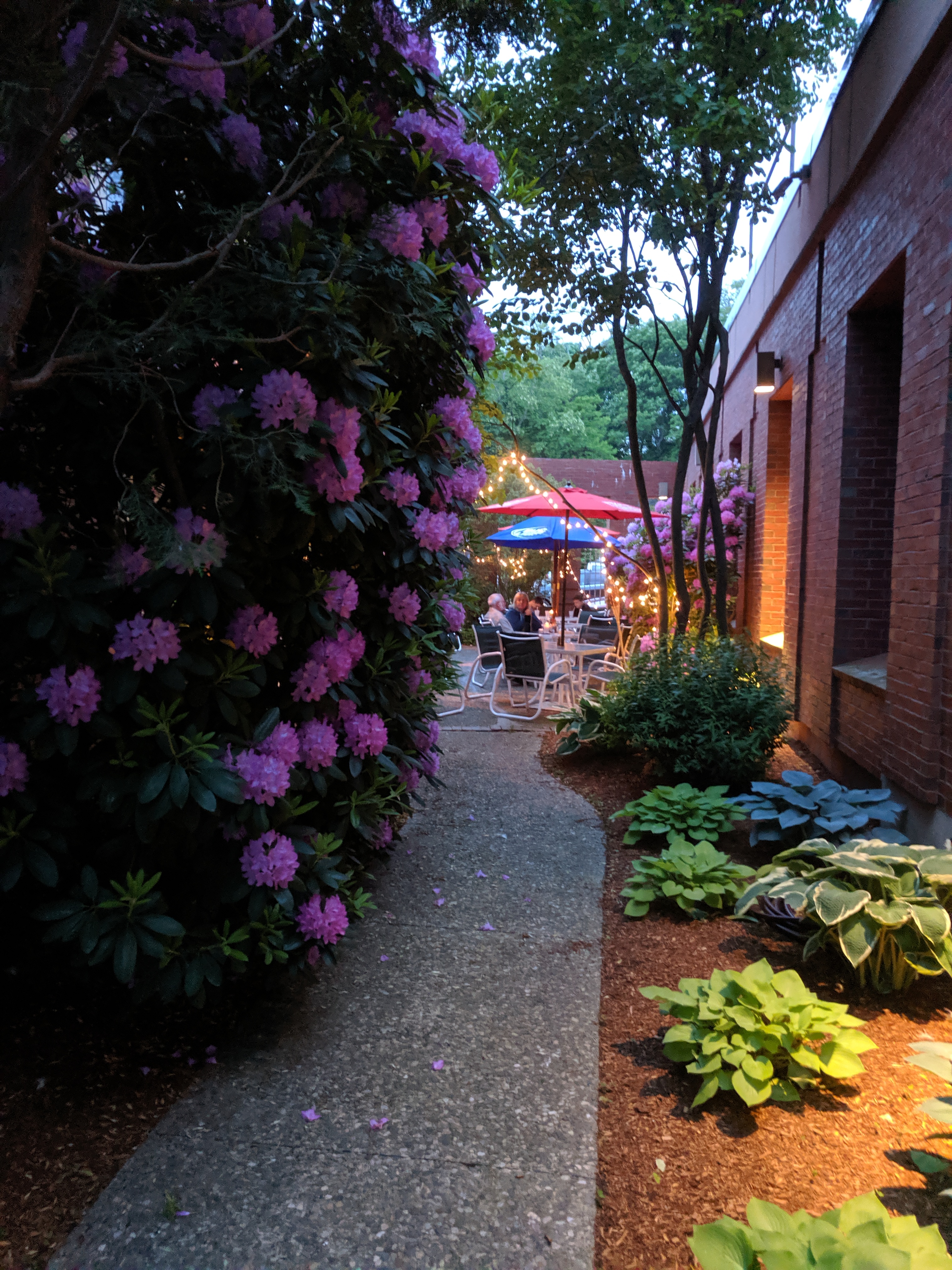Halibut Point Restaurant outdoor seating_20190610_Gloucester MA ©c ryan (1)