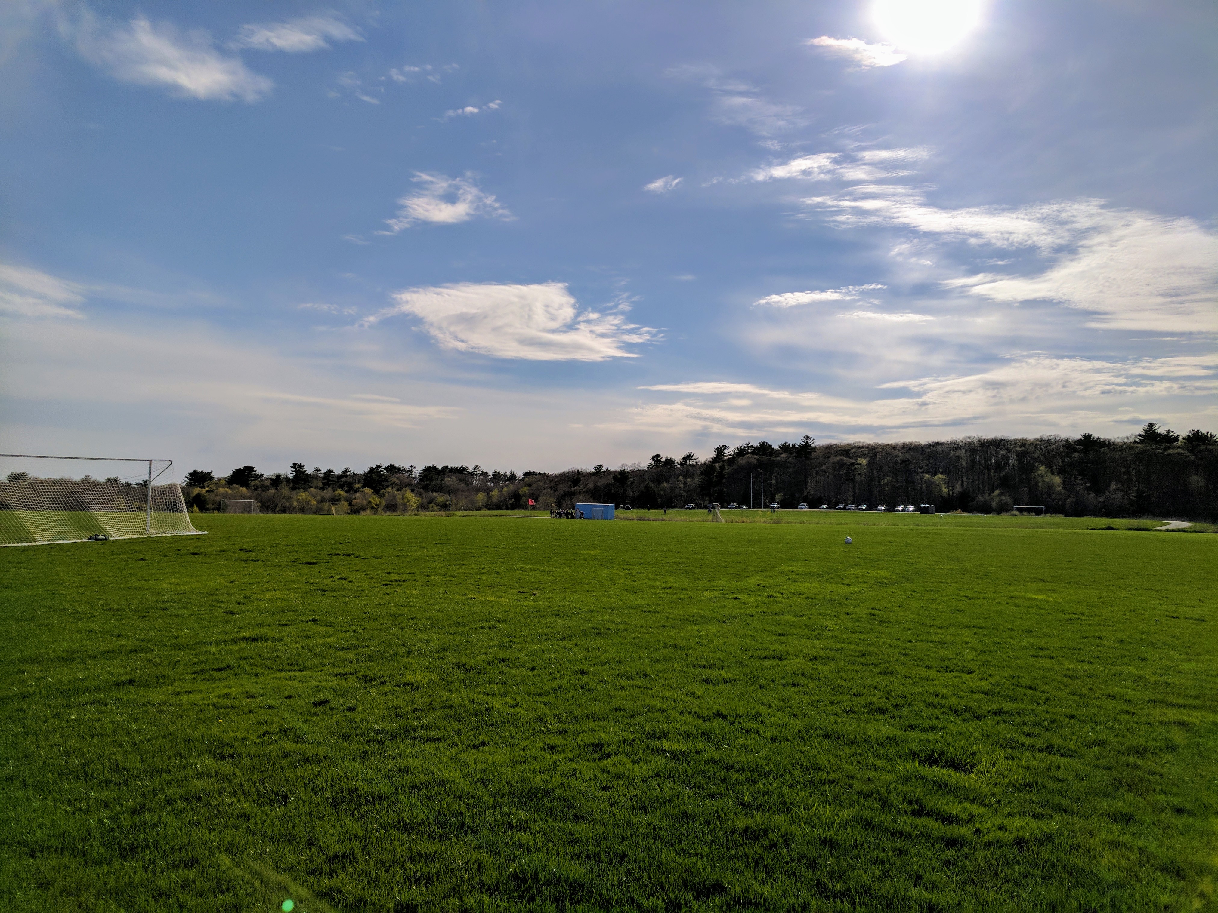 mag woods_20170504_©c ryan