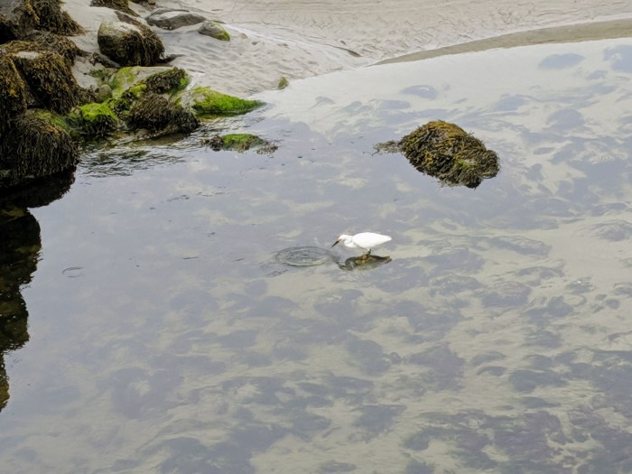 opportunity_20190620_©c ryan