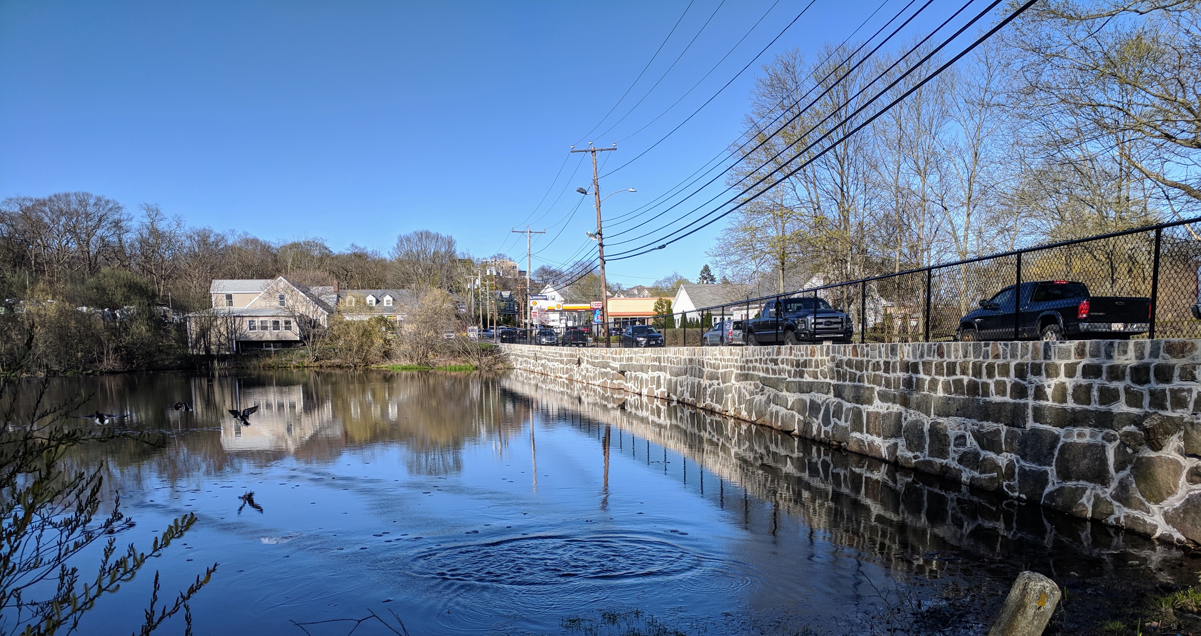 stone wall repaired 2018 Day's Pond Gloucester MA_20190425_©c ryan (2)