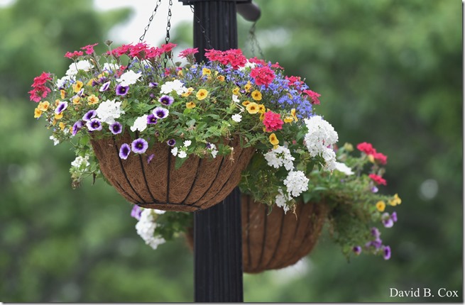 20019 6 28 Fiesta Thurs & Fog 021