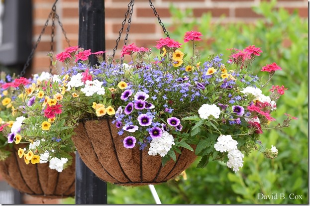 20019 6 28 Fiesta Thurs & Fog 025