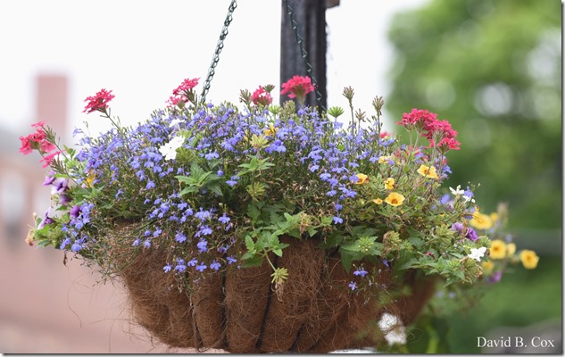 20019 6 28 Fiesta Thurs & Fog 029