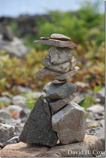 2019 7 12 Gen Garden Tour & Misc Bk Shore 072