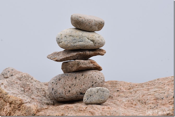 2019 7 12 Gen Garden Tour & Misc Bk Shore 110