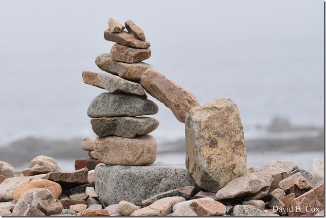 2019 7 12 Gen Garden Tour & Misc Bk Shore 116