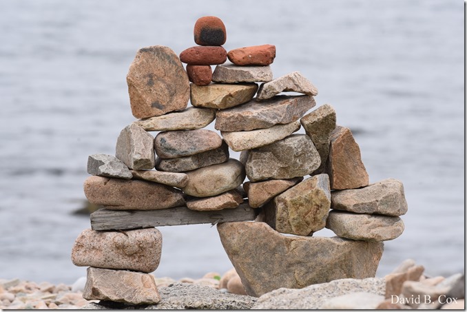 2019 7 12 Gen Garden Tour & Misc Bk Shore 123