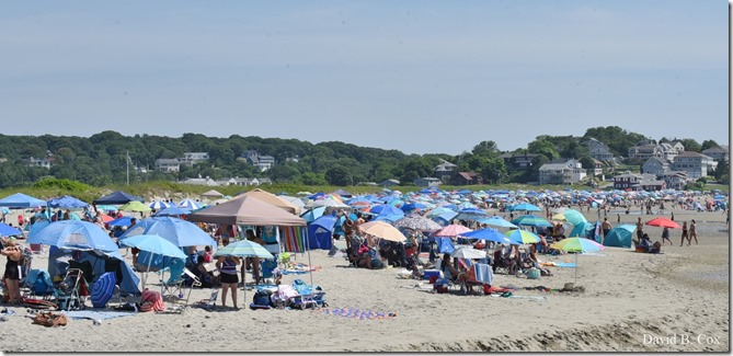 2019 7 20 Seacoast 10 K & Misc 162