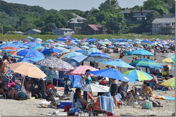 2019 7 20 Seacoast 10 K & Misc 163